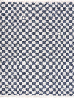 Kieu Blue & White Checkered Area Rug