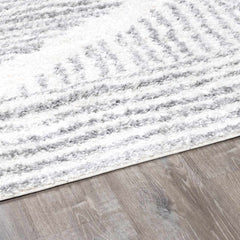 Trunding Plush Area Rug in Gray