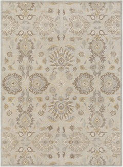 Conesus 1192 Hand Tufted Ivory&Taupe Wool Rug