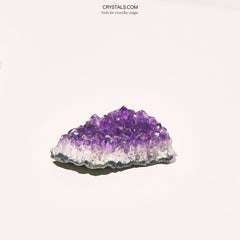 Amethyst Cluster
