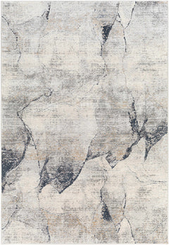 Gasquet Gray Marble Textured Luxe Rug
