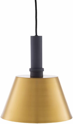 Gastonia Ceiling Light - Clearance
