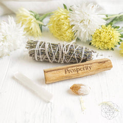 Manifest Miracles - Prosperity Smudging Kit (5 Pieces)