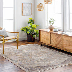 Livabliss Aida Machine Woven  Surya AAD-2303 Area Rug